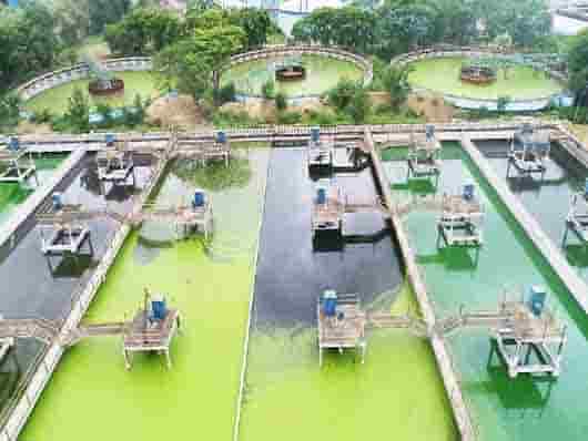 मुख्यमंत्री 16 को करेंगे महाजेनको के 3 प्रकल्पों का भूमिपूजन