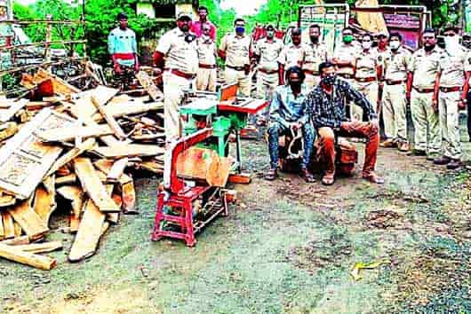 सागवान