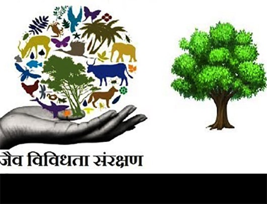 जैव विविधता